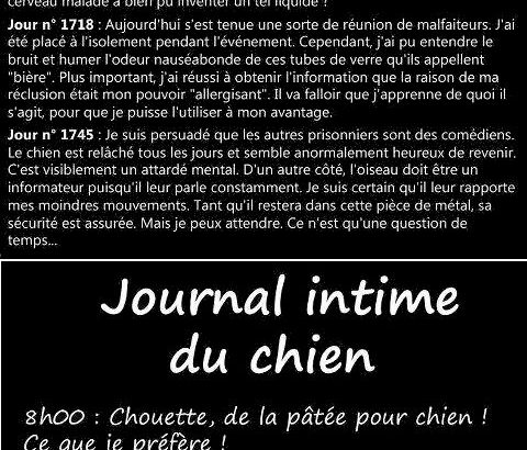 Journal Intime Du Chat Et Du Chien Pctr Up